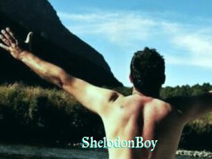 ShelodonBoy