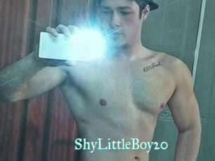 ShyLittleBoy20