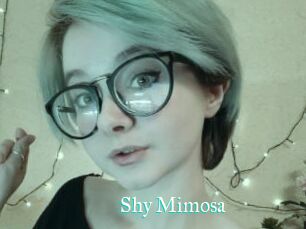 Shy_Mimosa