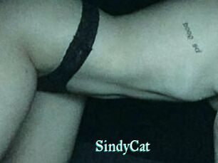 SindyCat