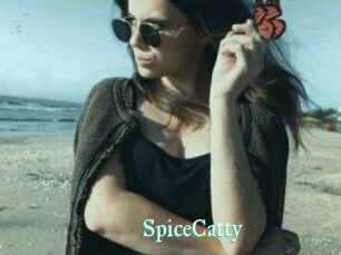 SpiceCatty