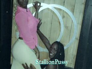 StallionPussy