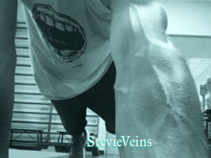 StevieVeins