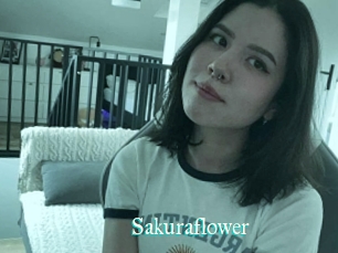 Sakuraflower