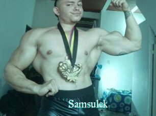Samsulek