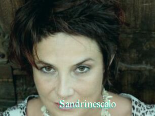 Sandrinescalo