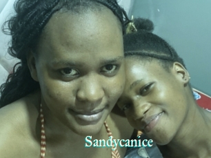 Sandycanice