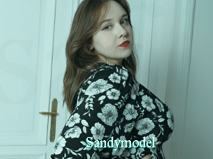Sandymodel
