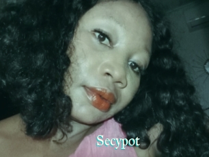 Secypot