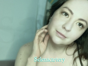 Selenacartery