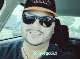 Senorgecko