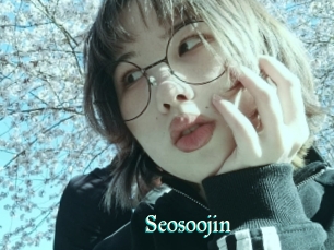 Seosoojin