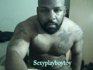 Sexyplayboytoy