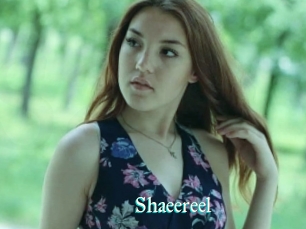 Shaeereel