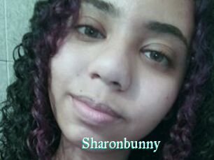 Sharonbunny
