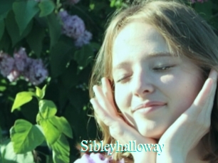 Sibleyhalloway