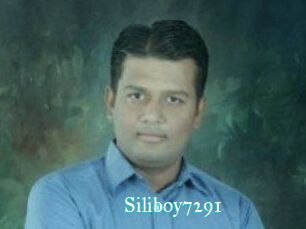 Siliboy7291