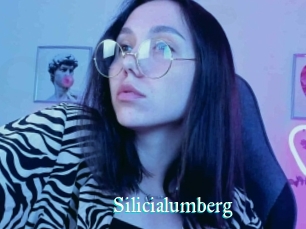 Silicialumberg
