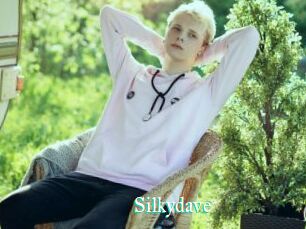 Silkydave