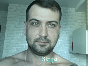 Skripa