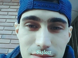 Skyleer