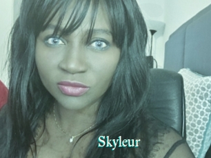 Skyleur