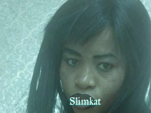 Slimkat