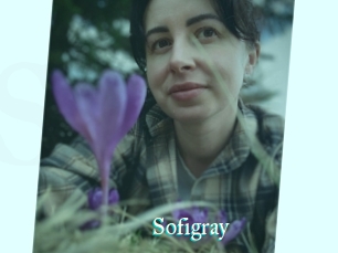 Sofi_gray