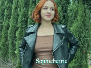 Sophicherrie