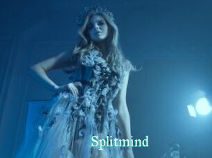 Splitmind