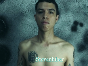 Stevenbiber