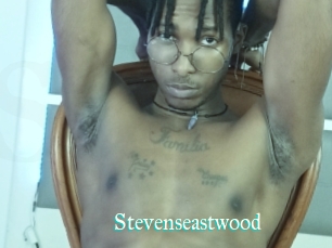 Stevenseastwood