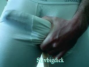 Stivbigdick