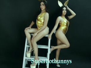 Superhotbunnys