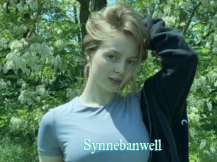 Synnebanwell