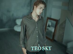TEO_SKY