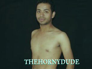THEHORNYDUDE