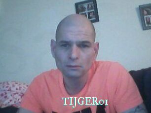 TIJGER01