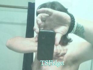 TSFidget
