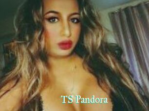 TS_Pandora