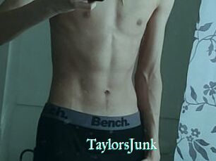 TaylorsJunk