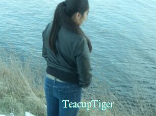 TeacupTiger