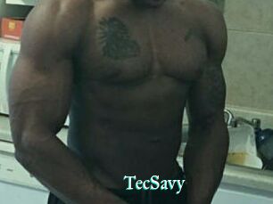 TecSavy