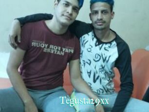 Tegusta29xx