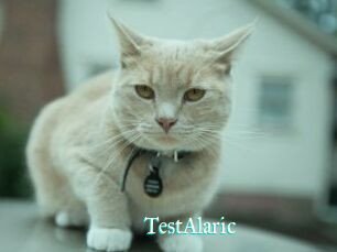 TestAlaric