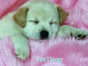 TestThingy