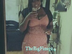 TheBigFine304