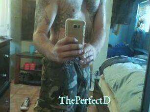 ThePerfectD