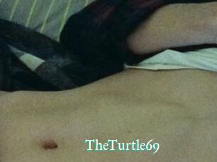 TheTurtle69
