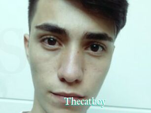 Thecatboy